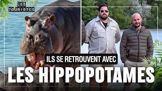 Des kilos de crottes dhippopotames à ramasser… à la main  😱  Les Touristes [upl. by Wernda]