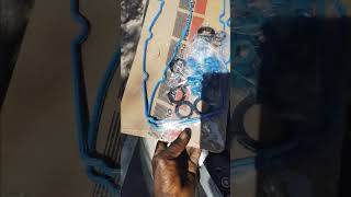 changing my volve cover gasket on a Mazda CX9 [upl. by Adnwahsat255]