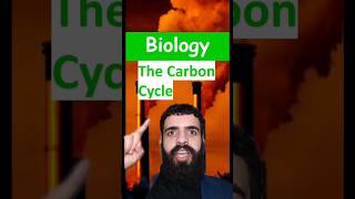 The carbon cycle  GCSE Science in a minute stem water co2 carbon globalwarming savetheworld [upl. by Ylreveb]