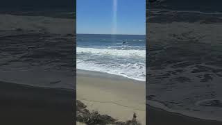 Malibu beach californiacoast calibeach travel waves malibu malibubeaches ocean [upl. by Sheridan761]