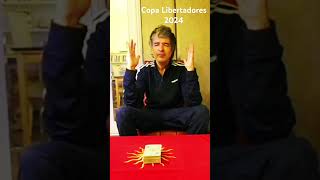 Favoritos Copa Libertadores 2024 prediccion copalibertadoresdeamérica copalibertadores tarot [upl. by Birchard153]