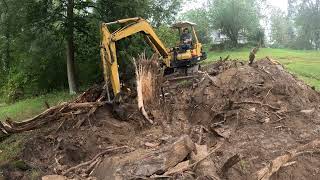 Cleaning up a fallen tree with an excavator [upl. by Hollyanne199]