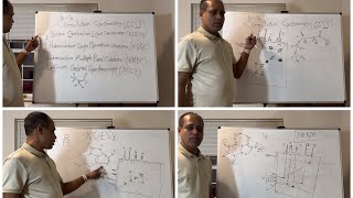 2D COSY NOESY HSQC HMBC and DOSY NMR application Part 1 [upl. by Navarro832]