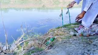 مچھلی پکڑنے کا طریقہ  کنارے سے سنگھاڑے کا شکار  Budget Canal Fishing  Catfish Fishing video 🔥🔥 [upl. by Koball]