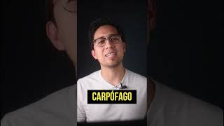 Carpófago ¿Conocías la palabra [upl. by Styles]