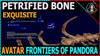 Petrified Bone Exquisite Location  Avatar Frontiers of Pandora [upl. by Archibald]