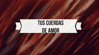 TUS CUERDAS DE AMOR PISTA  Julio Melgar [upl. by Adoh564]