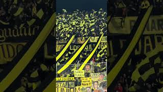 quotCARBONERO HOY TE VINIMOS A VERquot ⚫🟡 libertadores gloriaeterna peñarol [upl. by Eanat]