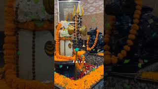 Har Har Mahadev  Devo ka dev Mahadev  shorts mahadev [upl. by Anoo]