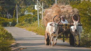 বিবাহ মঙ্গল২য় ভাগ Vivaha Mangal 2nd partBengali Poem BonaanchalBangla [upl. by Htieh635]