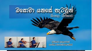 ඔසොවා යනසේ පැටවුන්  Osowa Yanase patawun  On Eagles Wings with Lyrics [upl. by Rolyt]