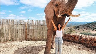 ELEPHANT EXPERIENCE AND GAME RESERVE  SOUTH AFRICA TRAVEL VLOG PART 3 🐘 [upl. by Nnadroj]