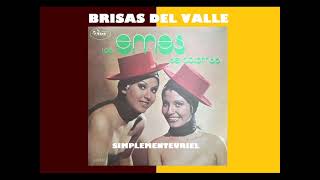 BRISAS DEL VALLE  Las Emes Martha y Margarita 1977 [upl. by Domel212]