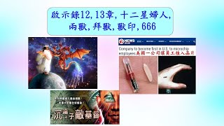 啟示錄第八講  啟示錄12 13章 十二星婦人 兩獸 拜獸 獸印及666 [upl. by Okier]