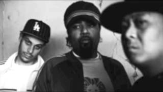 Dilated Peoples Tribute Mix By DJ Neanderthal [upl. by Elwira20]