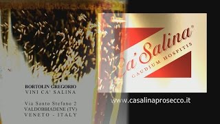 CA SALINA PROSECCO SUPERIORE VALDOBBIADENE [upl. by Boehike]