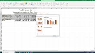 Excel 1 Gym Sales Part 2 97 [upl. by Manfred]