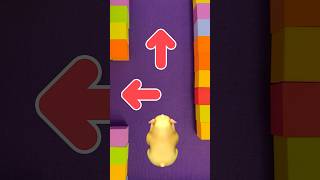 Help the Hamster Escape the Rainbow Maze 🟪🟨🟥🟦 cocomelon shorts [upl. by Elfstan]