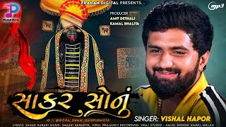 Vishal Hapor Sakar Sonu  Goga Maharaj Song  New Gujarati Song 2024 [upl. by Brigid]