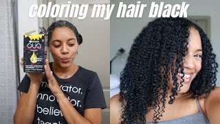 COLORING MY CULY HAIR JET BLACK 🖤 Garnier Olia Box Dye [upl. by Ynitsed]