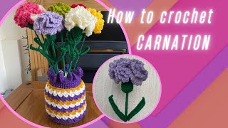 How to crochet Carnation  crochet calyx  crochet leaves  Beginner [upl. by Irim]