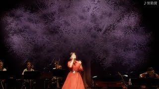 薬師丸ひろ子  Tree ～Live at EX THEATER ROPPONGI～ Trailer [upl. by Turk661]