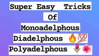 Super Easy Tricks Of Monoadelphous Diadelphous amp Polyadelphous [upl. by Carpet]