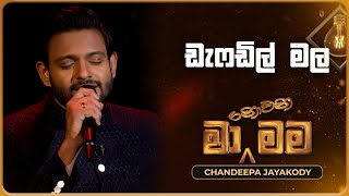 Daffodil Male ඩැෆඩිල් මල  Chandeepa Jayakody  Ma Nowana Mama  TV Derana [upl. by Yendroc]