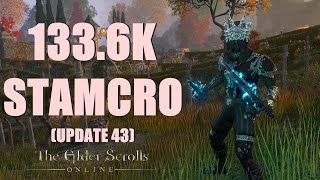 ESO  Stamina Necromancer 1336k PvE DPS Build  Update 43 [upl. by Ahsemak]