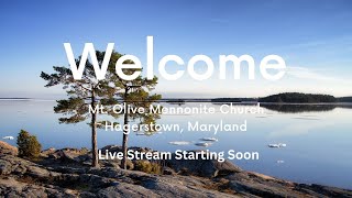 Mt Olive Mennonite Church Live Stream [upl. by Thorley]