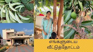 எங்கள் வீட்டுத்தோட்டத்தில் எங்களுக்கு தேவையான காய்கள்  My Home Garden Tour In Tamil [upl. by Lleynod]