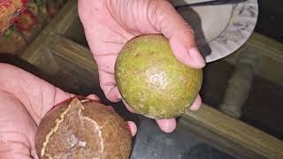 Wood Apple Bhorta Recipe 😋😋Wood appleBhorta recipeChatni recipe [upl. by Leede]