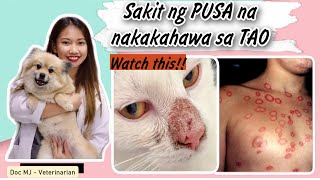 RINGWORM IN PETS  SKIN DISEASE IN DOGS AND CATS  DOC MJ YOUTUBE CHANNEL [upl. by Assyral]