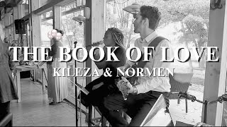 Peter Gabriel  The Book of Love Kileza amp Normen Goltz Cover [upl. by Herbie286]