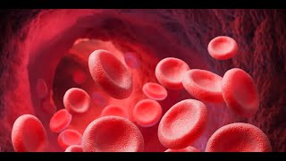 Study about Rheological Behavior of Human Blood [upl. by Aneekahs446]