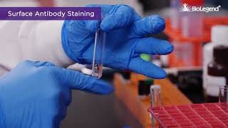 Surface and Intracellular Cytokine Staining for Flow Cytometry [upl. by Niawd]