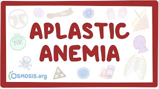 Aplastic anemia  an Osmosis Preview [upl. by Trini433]