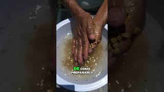 Cómo preparar lentejas para nuestras plantas en la cocina shorts plantas [upl. by Anier]