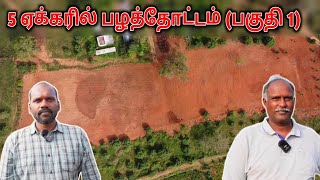 5 ஏக்கரில் பழத்தோட்டம்  உணவு காடு  Nannilam Eco Village  Food Forest  Permaculture [upl. by Ursa]