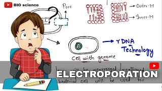 Electroporation  Gene transfer techniques  Electropermeabilization  Bio science [upl. by Lydon]