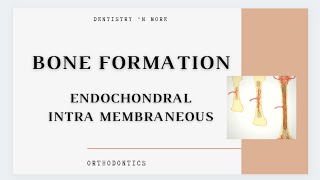 BONE FORMATIONINTRA MEMBRANOUS ampENDOCHONDRAL [upl. by Haerr991]