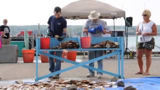 Scallop Shucking Competition at Digby Scallop Days [upl. by Nirek85]