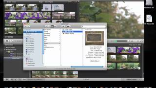 iMovie 11 Adding Still Images [upl. by Amandie243]