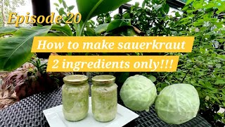 Sauerkraut recipe how to make sauerkraut fermented cabbage [upl. by Igal]