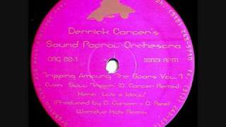 Derrick Carters Sound Patrol Orchestra Tripping Among the Stars Volume 1 [upl. by Enneiluj620]