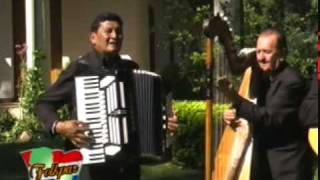 Catalino Gill y Su Conjunto Folklore y TradiciónquotValleiquot [upl. by Nived]