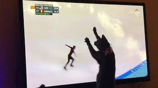 Cat Ice Dancing Finals [upl. by Kirkwood]