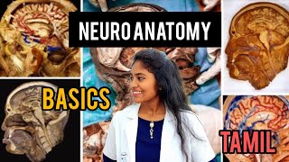 neuroanatomy basics in tamil medical essential CNSPNS brain [upl. by Alon]