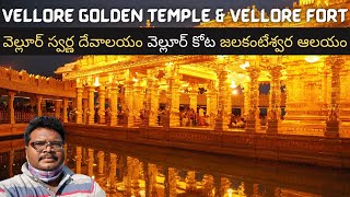 Vellore full tour in Telugu  Vellore Golden Temple  Vellore Fort  Jalakandeswarar  Tamilnadu [upl. by Jecon968]