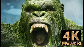 Kong vs Wart Dogs 4K  Godzilla X Kong The New Empire [upl. by Oninotna]